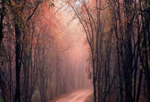 爱游戏-武汉三镇内部会议纪要流出——关键战队长鼓劲；CBA季后赛使命明确；身体对抗强度拉满(CBA下赛季扩军)